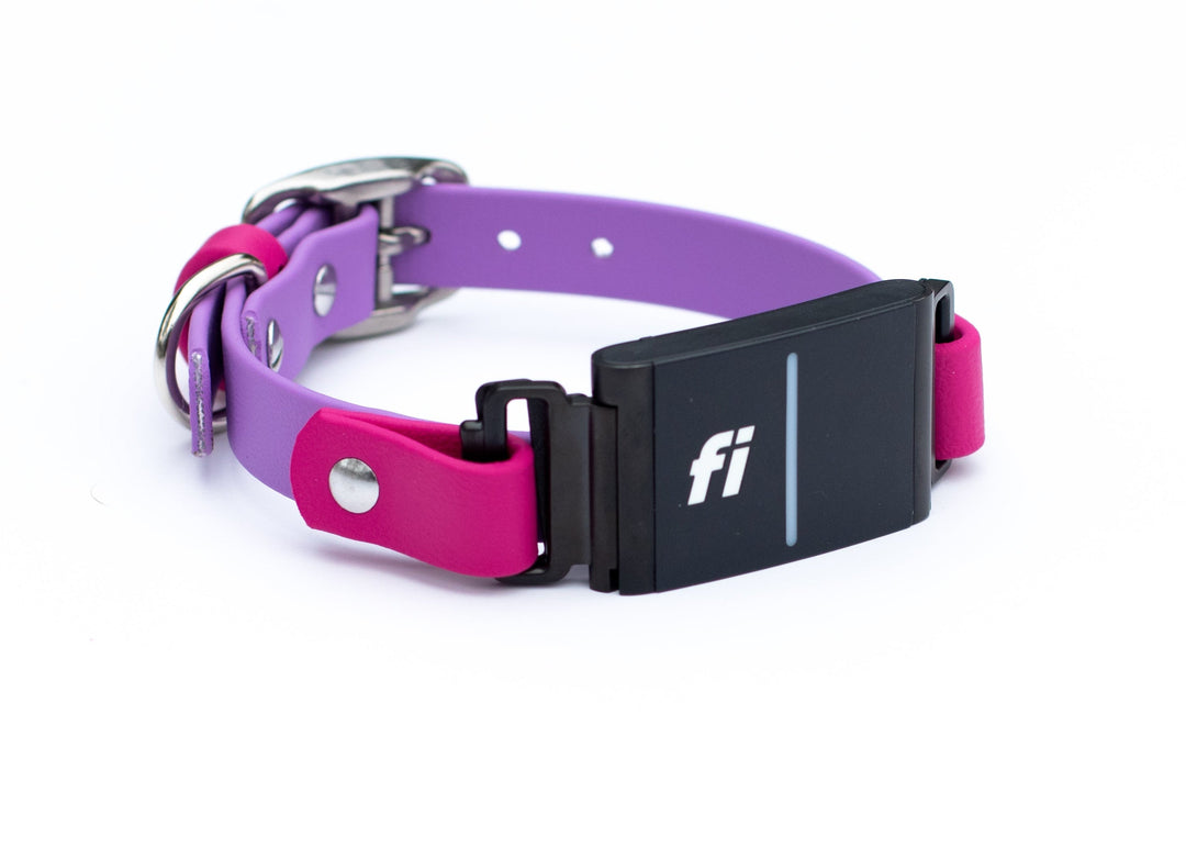 Fi 3/3+ Extra Small 5/8" BioThane Collars | SeaFlower Co 