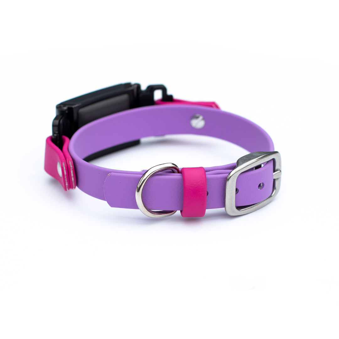 Fi 3/3+ Extra Small 5/8" BioThane Collars | SeaFlower Co 