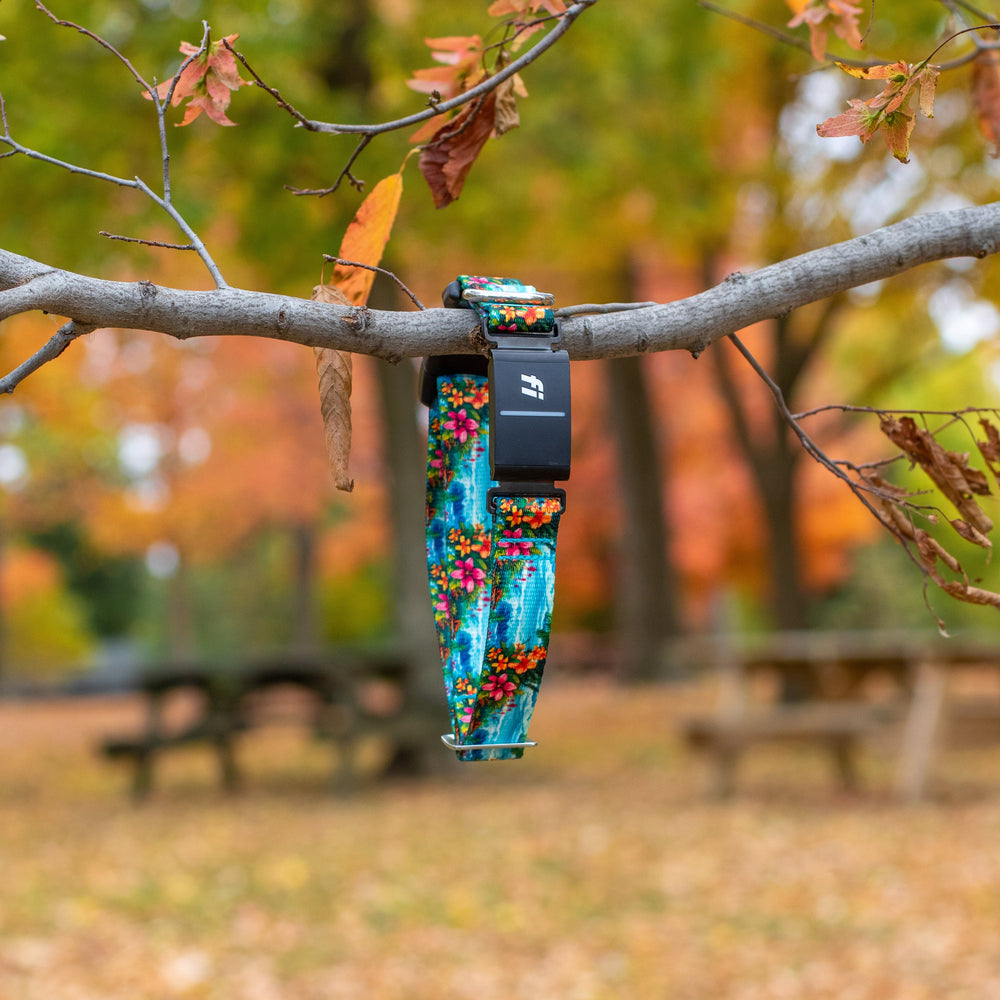 FI Compatible Series 3/3+ Collars | SeaFlower Co