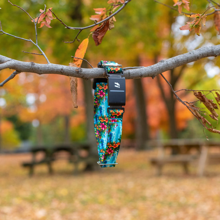 FI Compatible Series 3/3+ Collars | SeaFlower Co