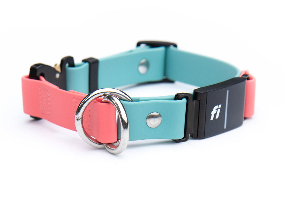 Fi Compatible Series 3/3+ Limited Slip BioThane Collar | SeaFlower Co