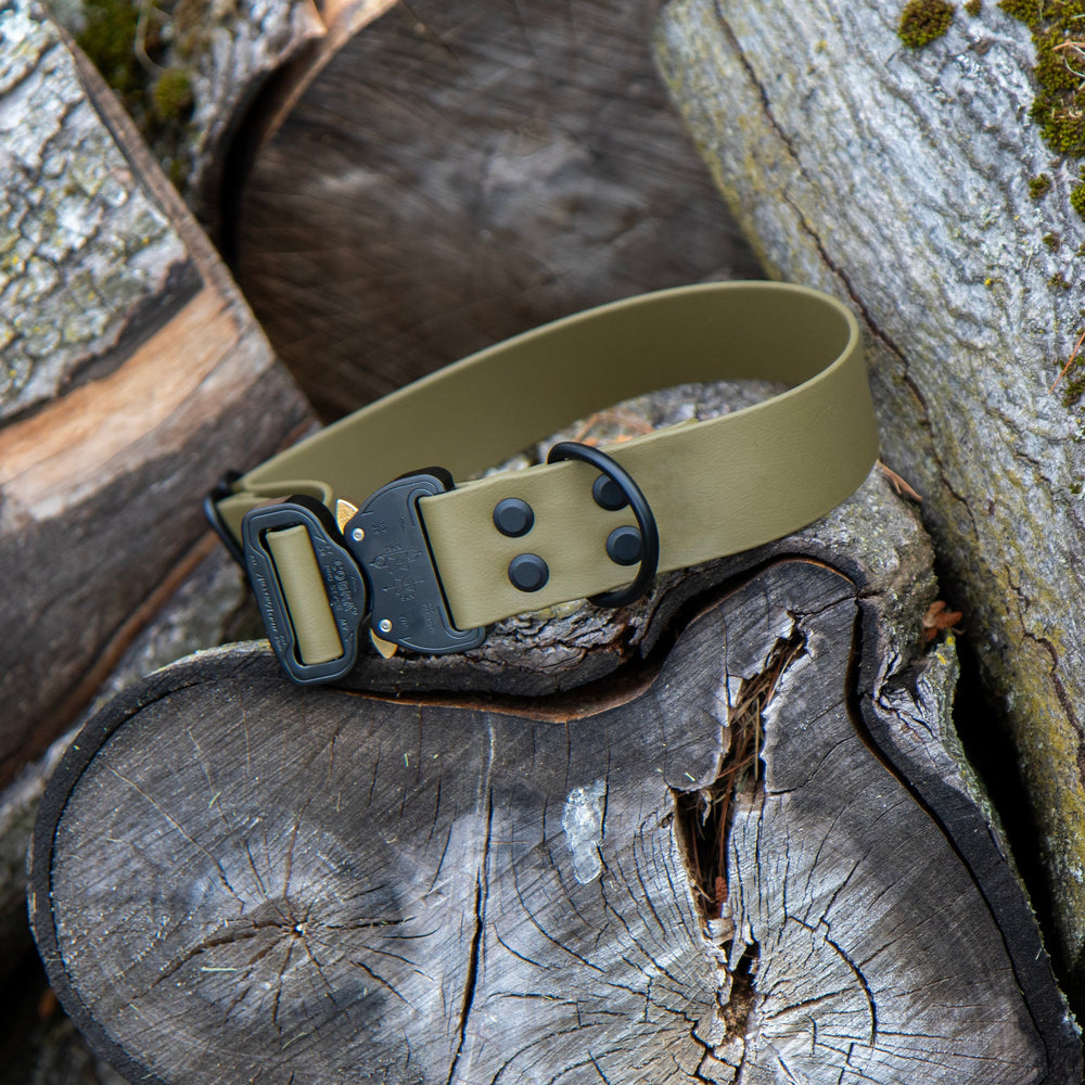 1.5" Adjustable BioThane Collar With COBRA® Buckle | Waterproof Dog Gear