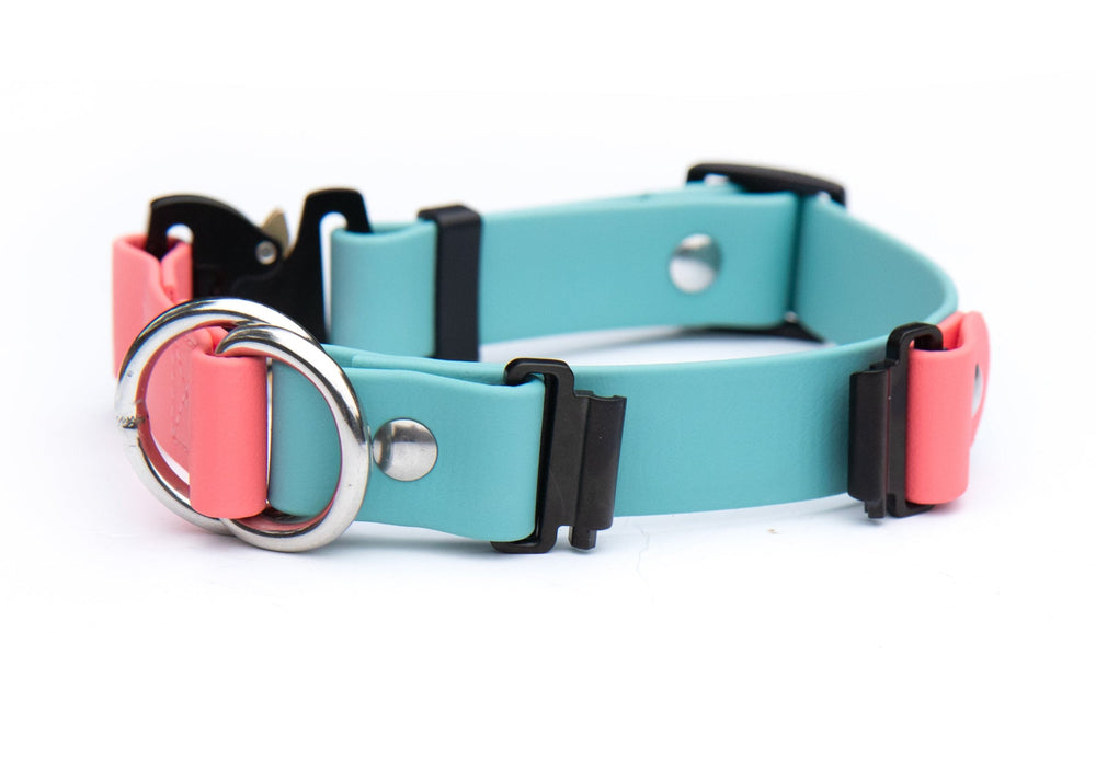 Fi Compatible Series 3/3+ Limited Slip BioThane Collar | SeaFlower Co