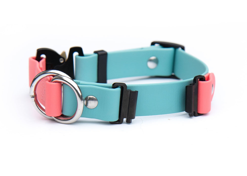 Fi Compatible Series 3/3+ Limited Slip BioThane Collar | SeaFlower Co