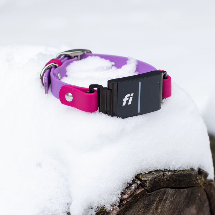 Fi Compatible 3/3+ Extra Small 5/8" BioThane® Collars