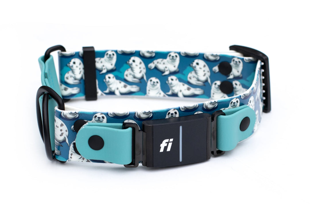1.5" Adjustable Limited Slip Fi Compatible Cute Seals BioThane 3/3+ Collar | SeaFlower Co