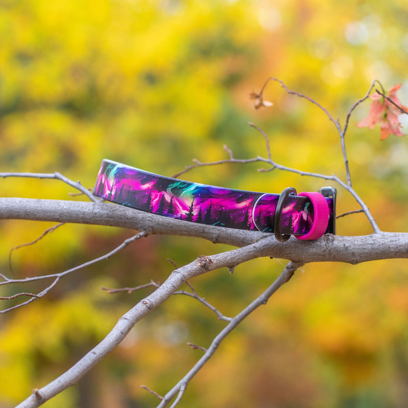 Fi Mini Waterproof Collars | SeaFlower Co
