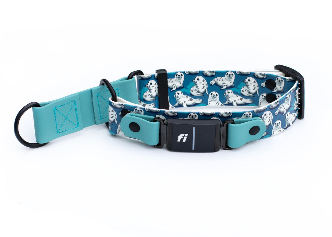 1.5" Adjustable Limited Slip Fi Compatible Cute Seals BioThane 3/3+ Collar | SeaFlower Co