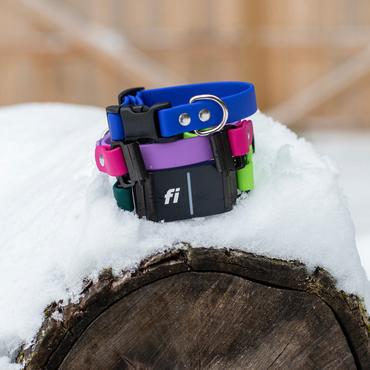 Fi Compatible 3/3+ Extra Small 5/8" BioThane® Collar With Quick Release Buckle