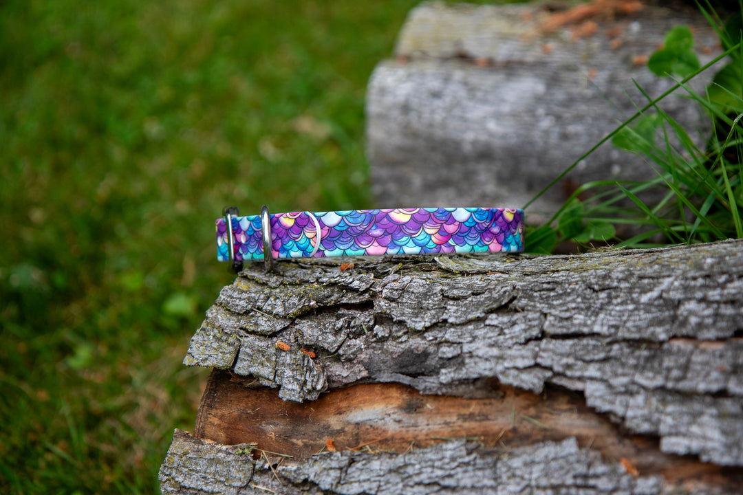 Mermaid Scales BioThane® Collar