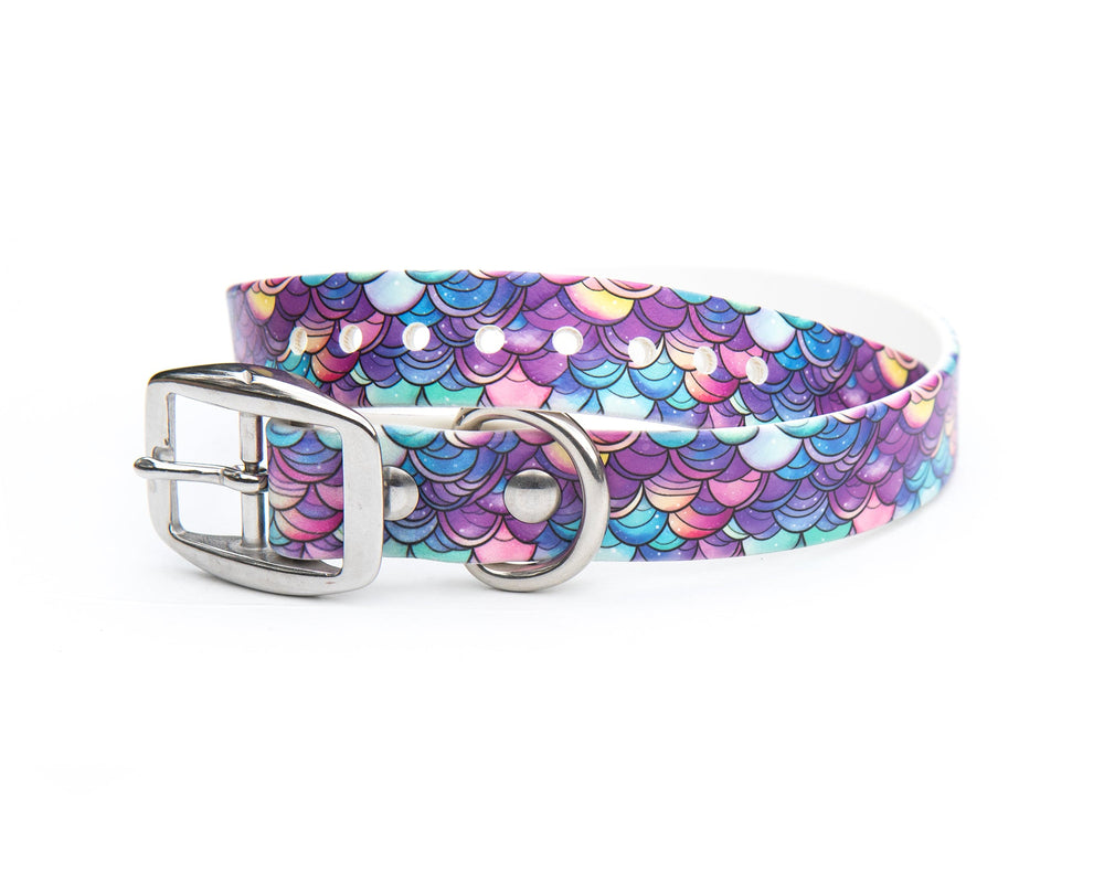 Mermaid Scales Waterproof Dog Gear | SeaFlower Co