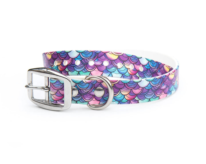 Mermaid Scales Waterproof Dog Gear | SeaFlower Co
