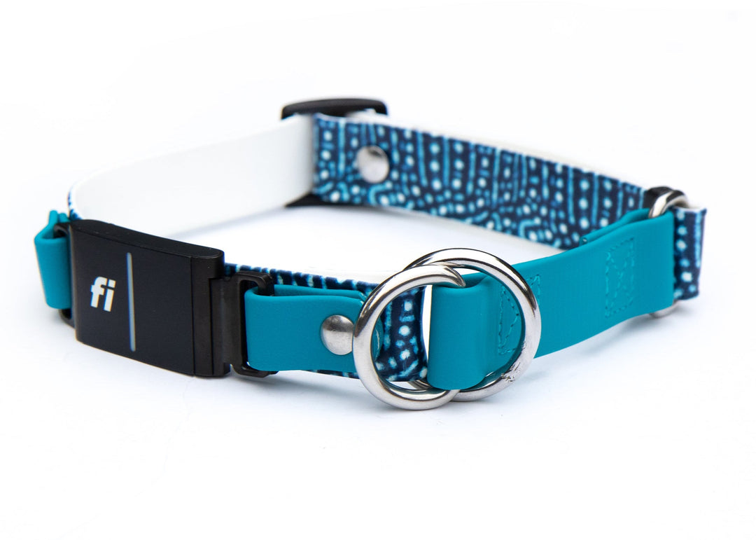 Fi Compatible Series 3/3+ Whale Shark BioThane Adjustable Limited Slip Collar | SeaFlower Co