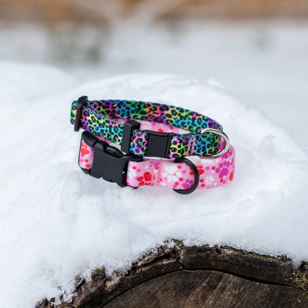Cute Cat Collars | SeaFlower Co