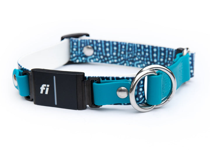 Fi Compatible Series 3/3+ Whale Shark BioThane Adjustable Limited Slip Collar | SeaFlower Co