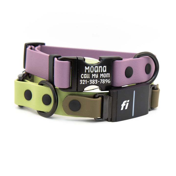 Fi 3/3 Compatible BioThane Collar With Personalized Buckle | SeaFlower Co