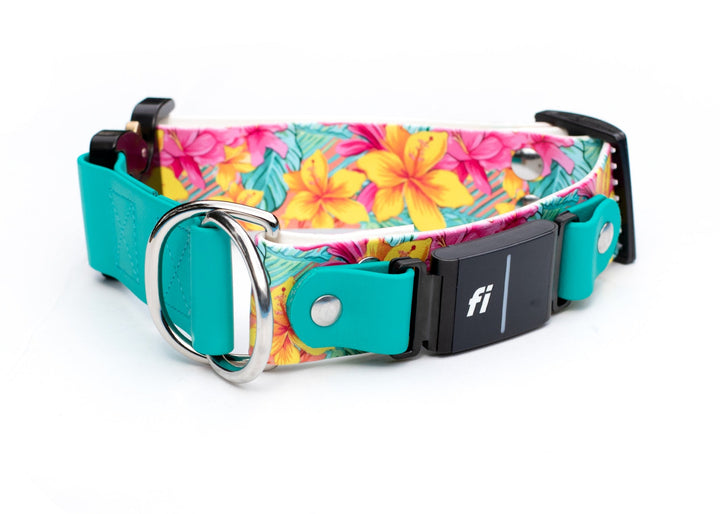 Fi 3/3+ Compatible 1.5" Limited Slip UV printed Biothane Collar With Buckle | SeaFlower Co