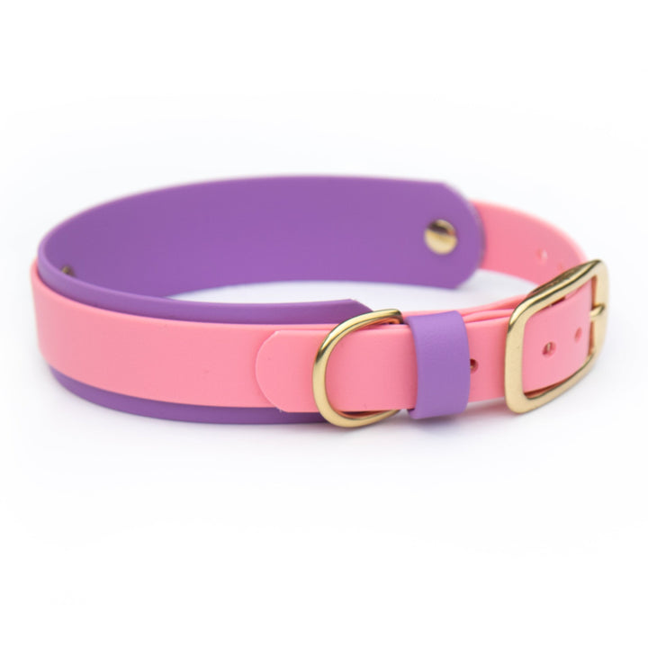A double-layered dog collar featuring a pink outer strap and a purple inner strap, finished with gold-tone metal hardware.