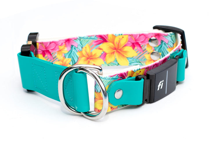 Fi 3/3+ Compatible 1.5" Limited Slip UV printed Biothane Collar With Buckle | SeaFlower Co