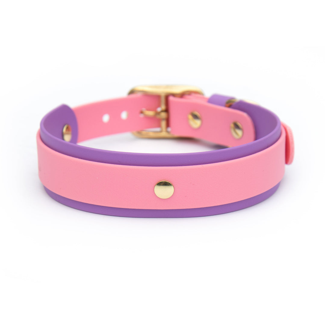 A pink and purple double-layered silicone collar with gold-tone metal studs and buckle, shown on a clean white background.
