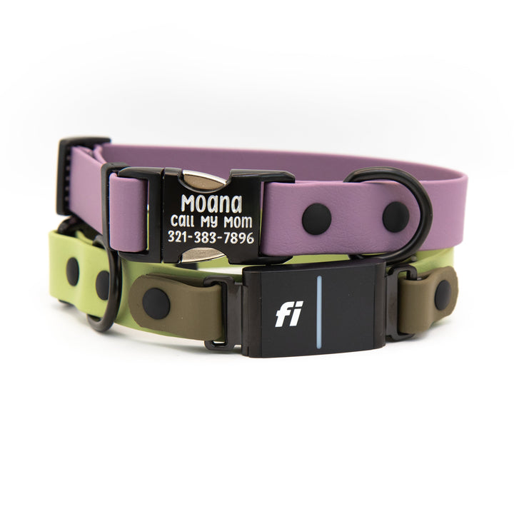 Fi 3/3 Compatible BioThane Collar With Personalized Buckle | SeaFlower Co