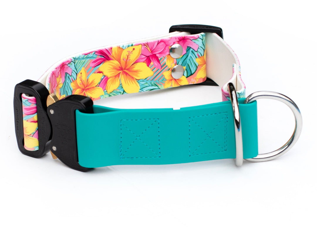 Adjustable Limited Slip UV printed BioThane Dog Collar | SeaFlower Co