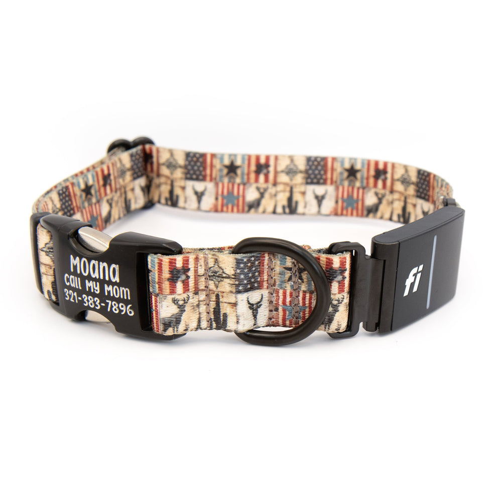 Fi 3/3+ Compatible Collar With Engraved Buckle | SeaFlower Co