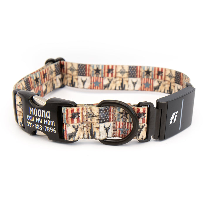 Fi 3/3+ Compatible Collar With Engraved Buckle | SeaFlower Co