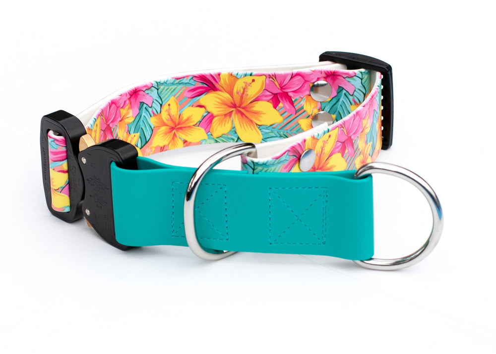 Fi 3/3+ Compatible 1.5" Limited Slip UV printed Biothane Collar With Buckle | SeaFlower Co