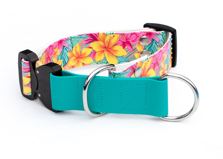 Fi 3/3+ Compatible 1.5" Limited Slip UV printed Biothane Collar With Buckle | SeaFlower Co