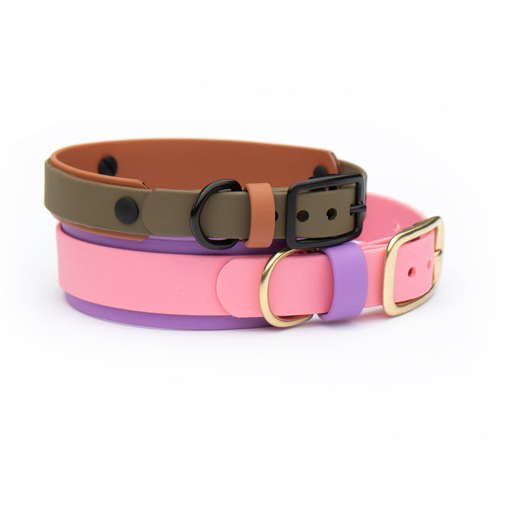 Double Layered BioThane® Collar