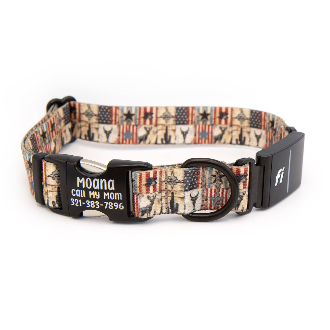 Fi 3/3+ Compatible Collar With Engraved Buckle | SeaFlower Co