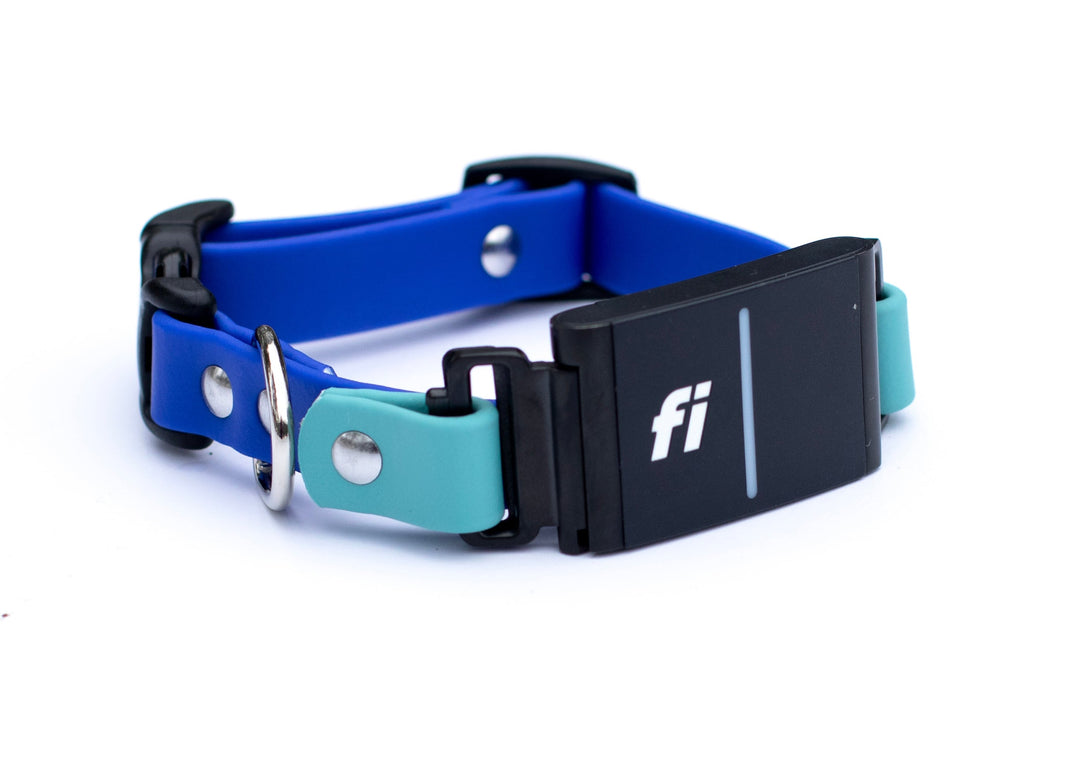 Fi Compatible 3/3+ Extra Small 5/8" BioThane® Collar With Quick Release Buckle