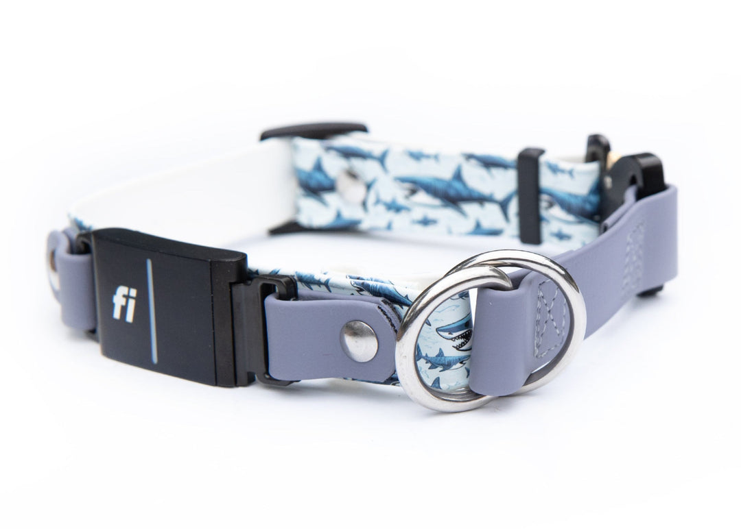 Fi Compatible Series 3/3+ Limited Slip UV Printed BioThane Collar With Buckle | SeaFlower Co