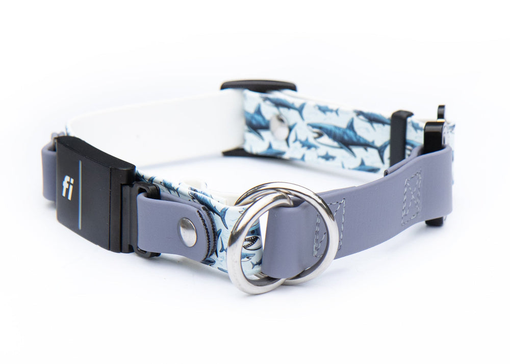 Fi Compatible Series 3/3+ Limited Slip UV Printed BioThane Collar With Buckle | SeaFlower Co