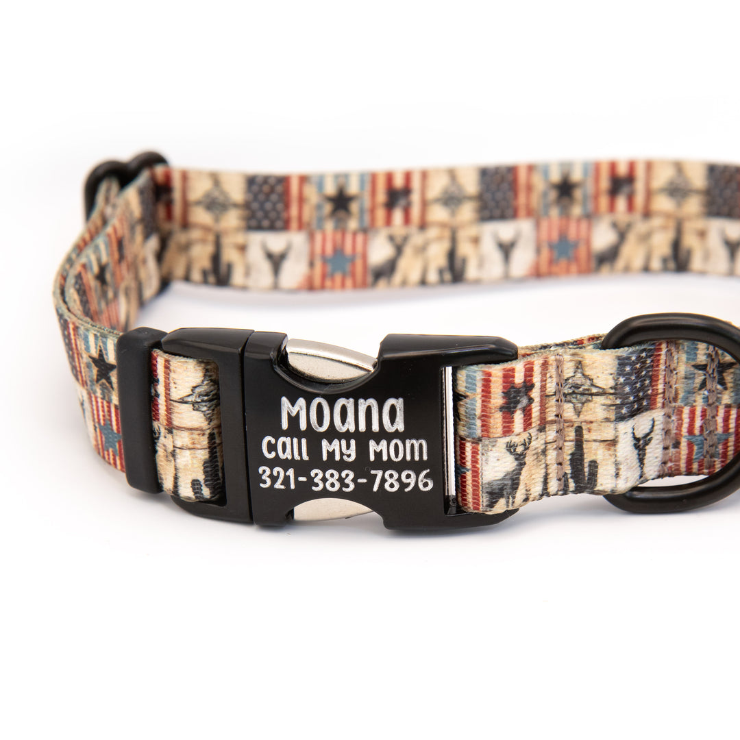 Fi 3/3+ Compatible Collar With Personalized Buckle | 40+ Designs