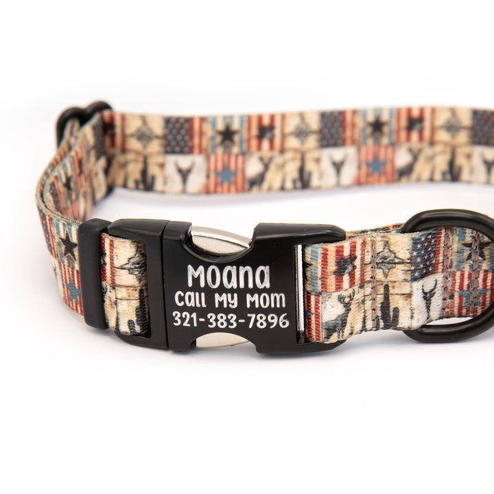 Fi 3/3+ Compatible Collar With Personalized Buckle | 40+ Designs