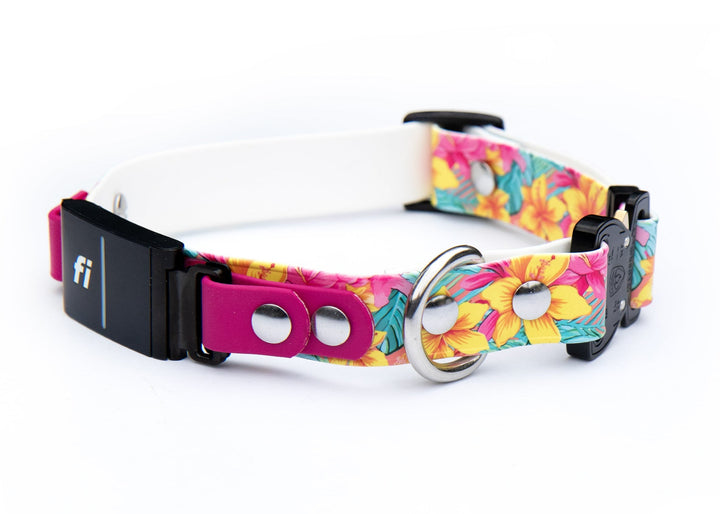 Fi Compatible Series 3/3+ UV BioThane® Adjustable Quick Release Collar