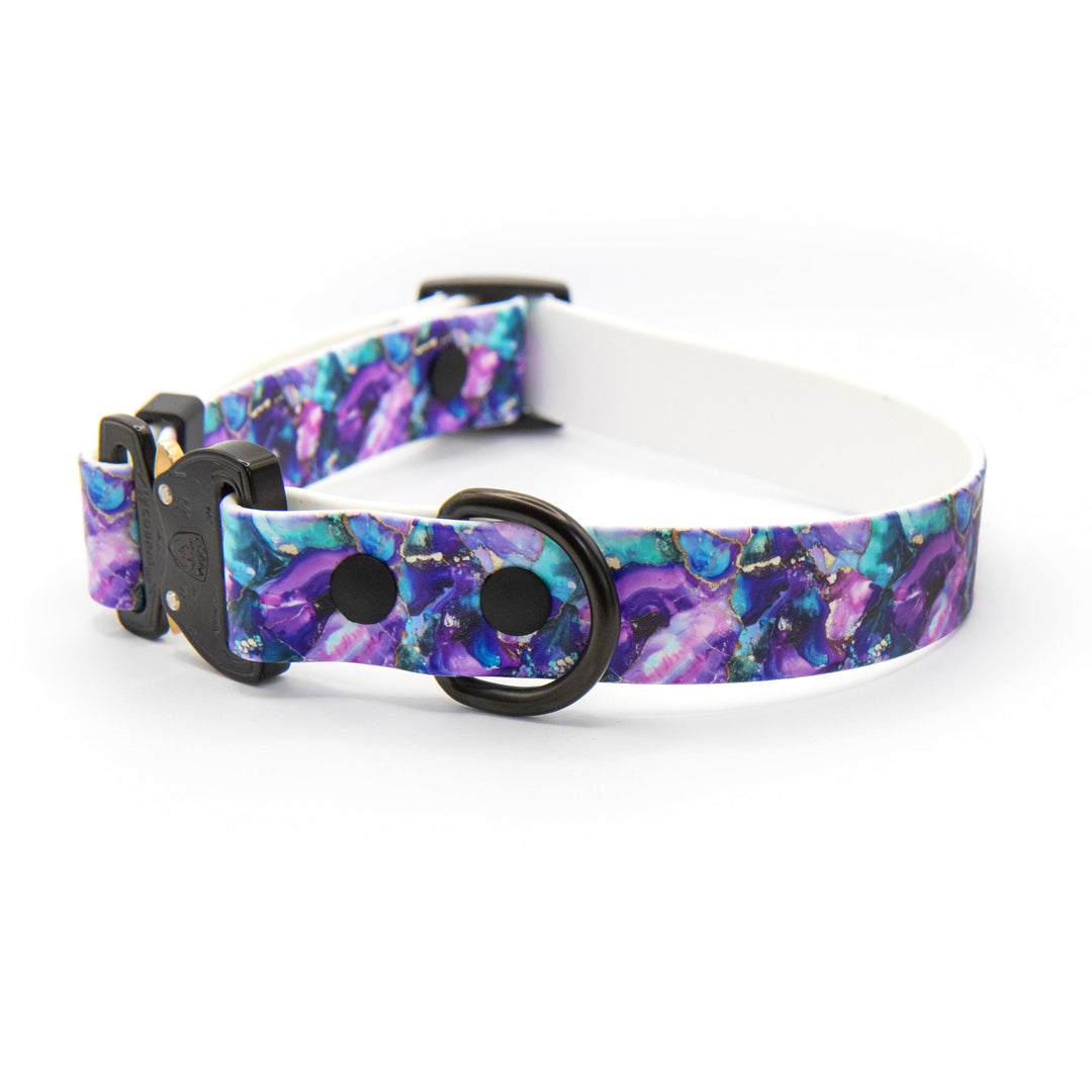 Dog collar with a colorful floral pattern on a white background