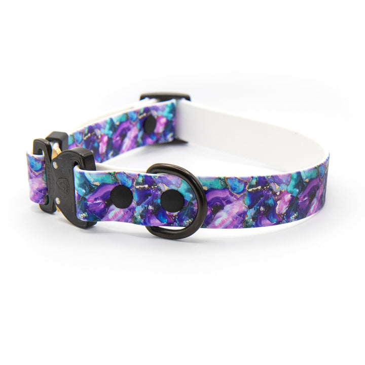 Dog collar with a colorful floral pattern on a white background