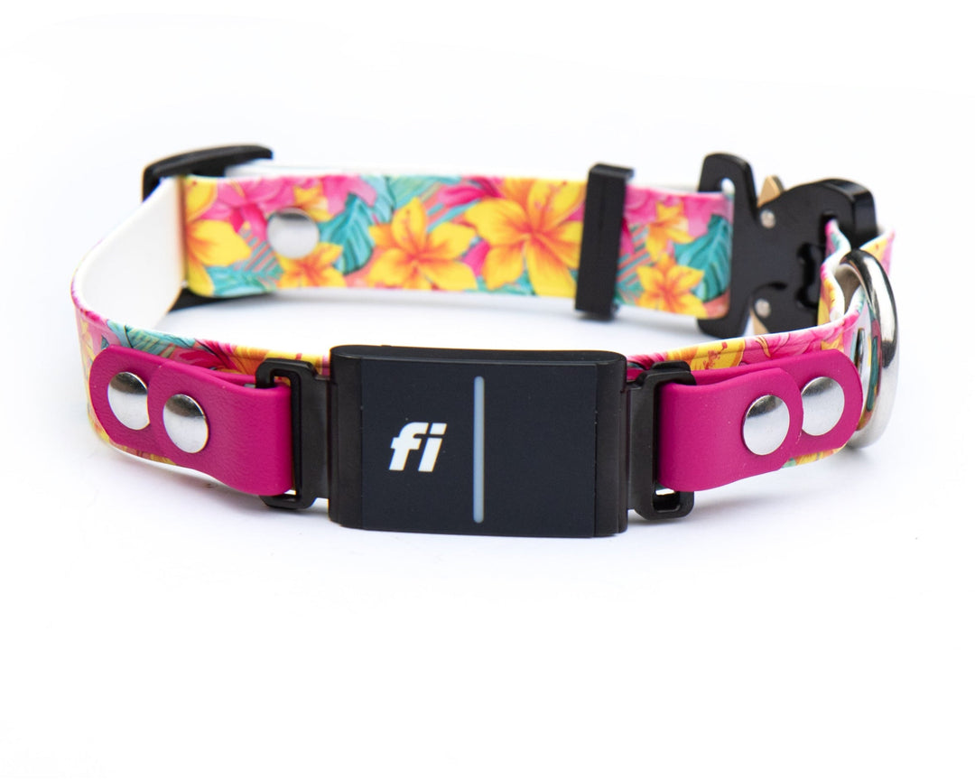 Fi Compatible Series 3/3+ UV BioThane® Adjustable Quick Release Collar