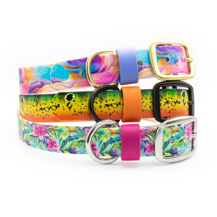 UV-Printed BioThane® Dog Collars | Waterproof Pet Gear