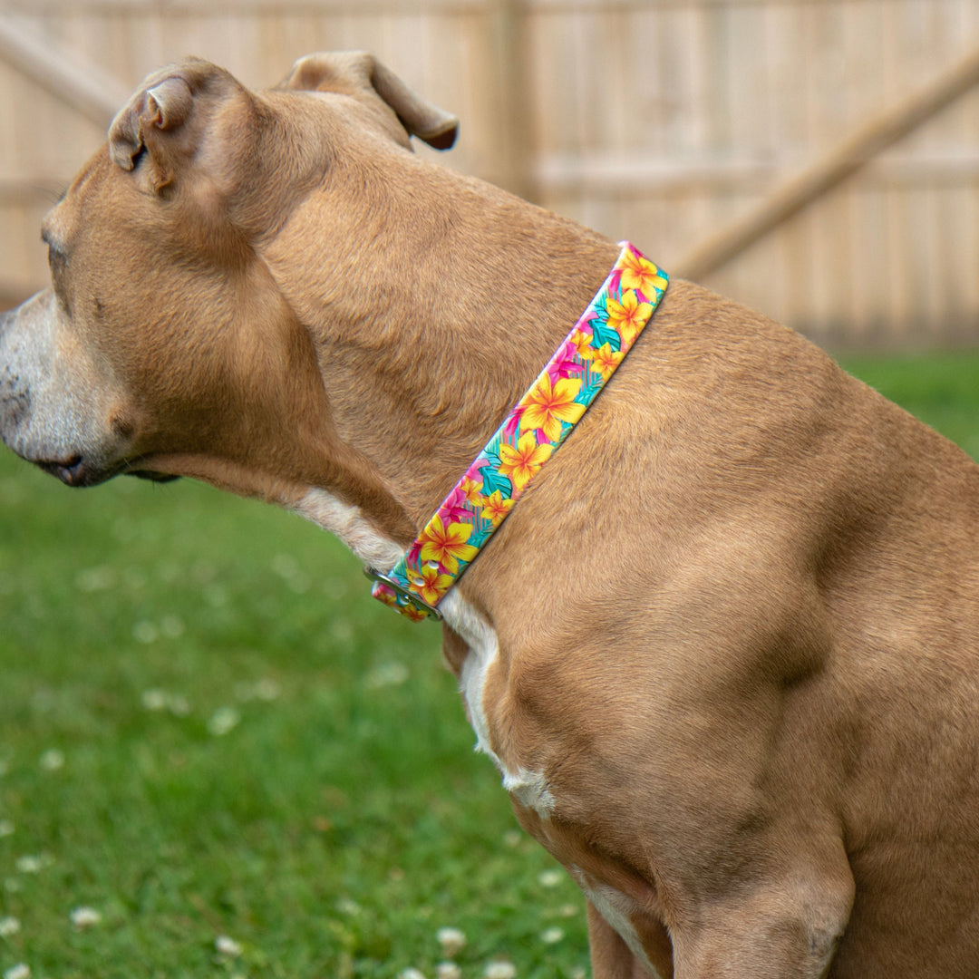 Pink Hawaiian Floral UV Printed BioThane® Waterproof Dog Collar | SeaFlower Co