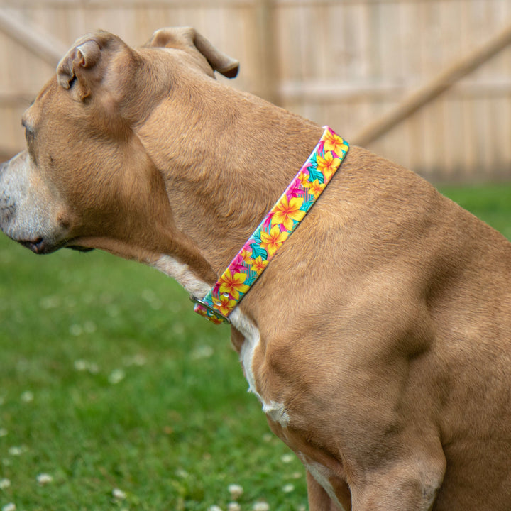 Pink Hawaiian Floral UV Printed BioThane® Waterproof Dog Collar | SeaFlower Co