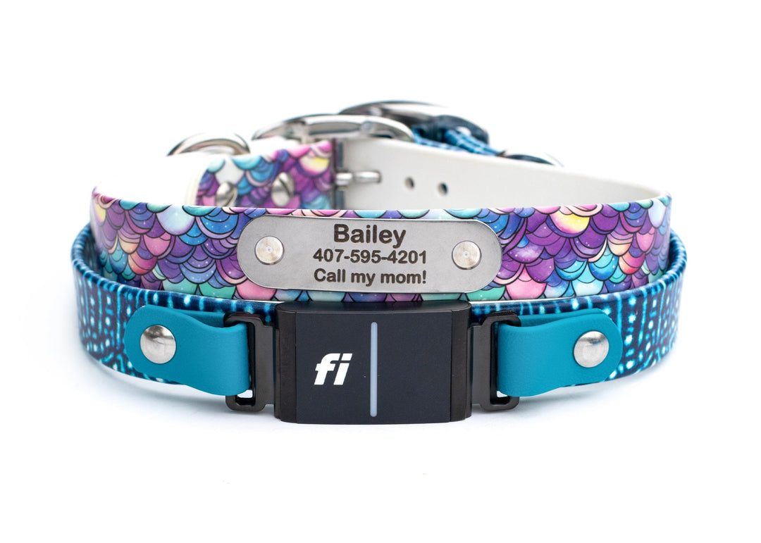 Fi Compatible 3/3+ Dog collar with mermaid scale pattern and personalized nameplate on a white background