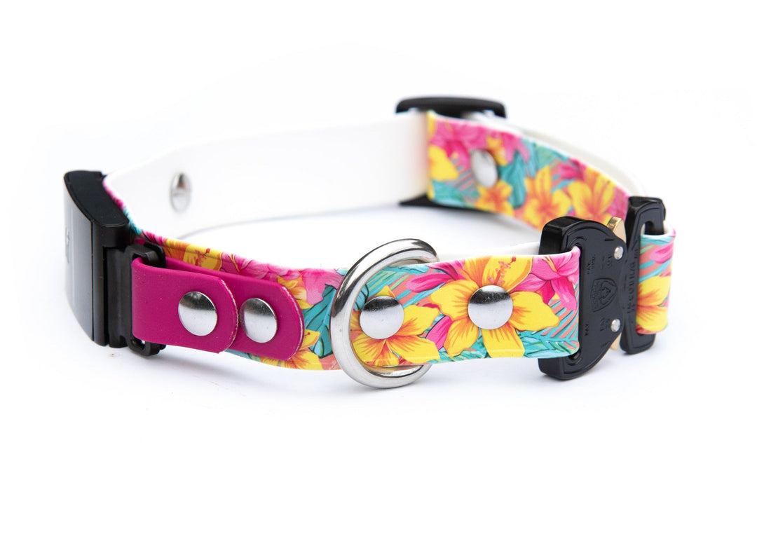 Fi Compatible Series 3/3+ UV BioThane® Adjustable Quick Release Collar