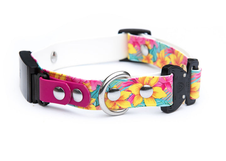 Fi Compatible Series 3/3+ UV BioThane® Adjustable Quick Release Collar