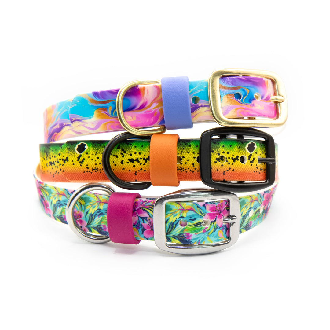 UV-Printed BioThane® Dog Collars | Waterproof Pet Gear