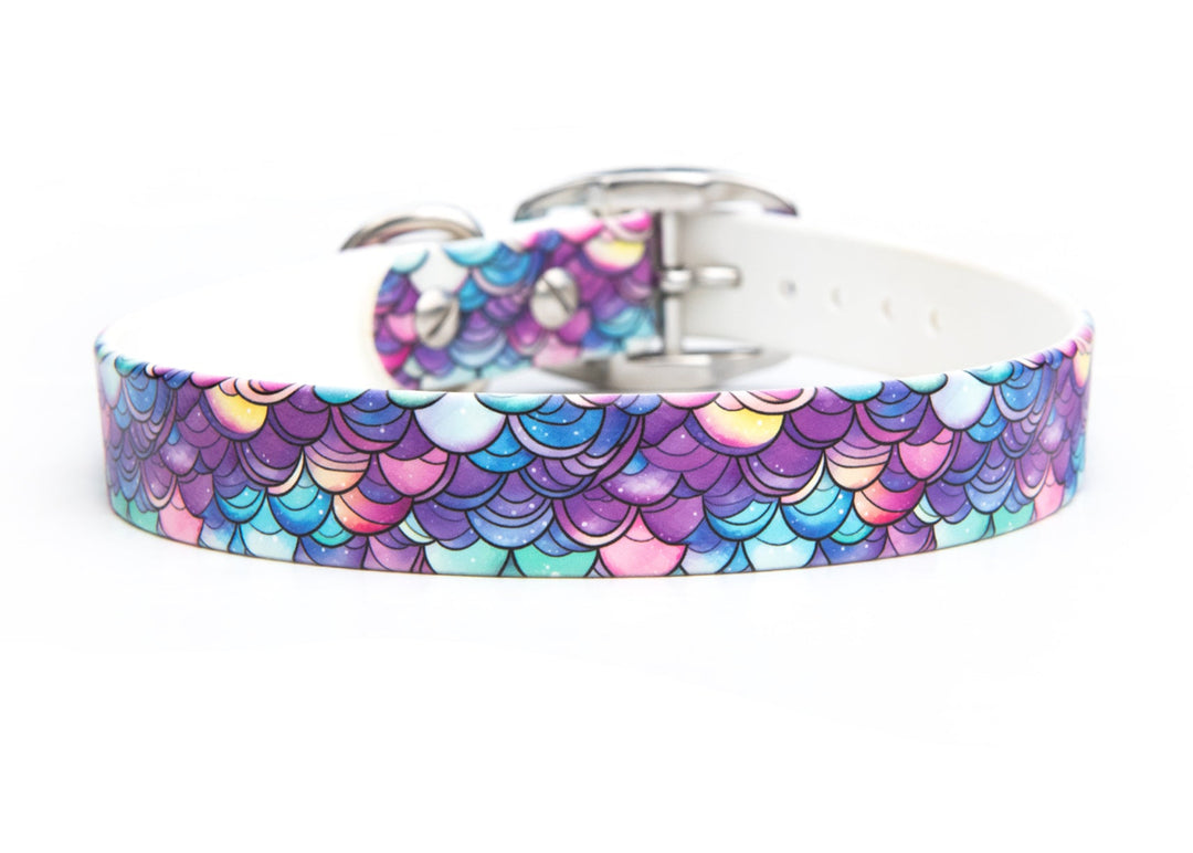 Mermaid Scales Waterproof Dog Gear | SeaFlower Co
