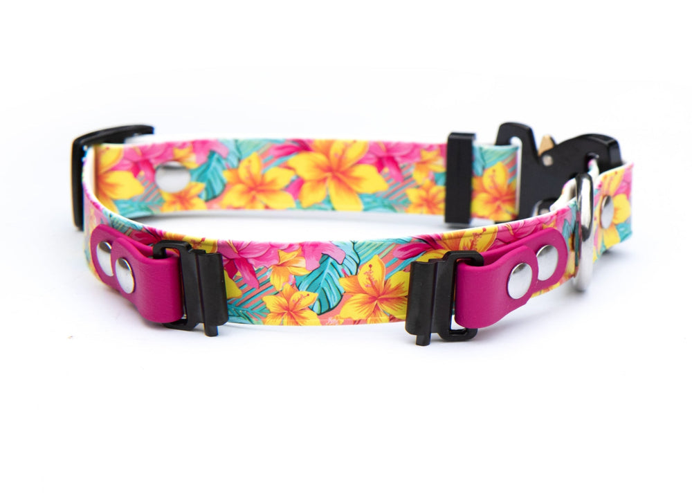 Fi Compatible Series 3/3+ UV BioThane® Adjustable Quick Release Collar